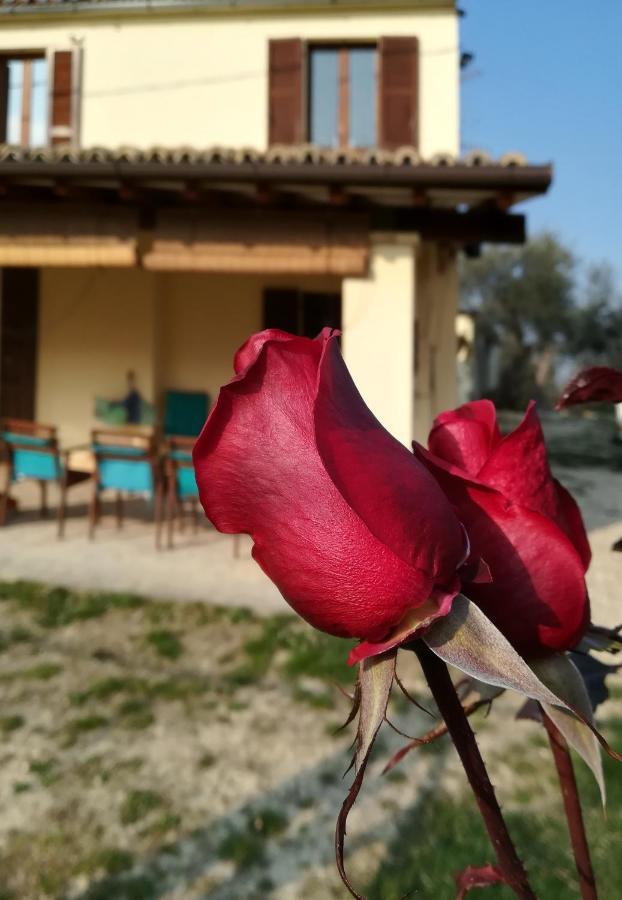 B&B Conca Del Pretore Loreto Aprutino Exteriér fotografie