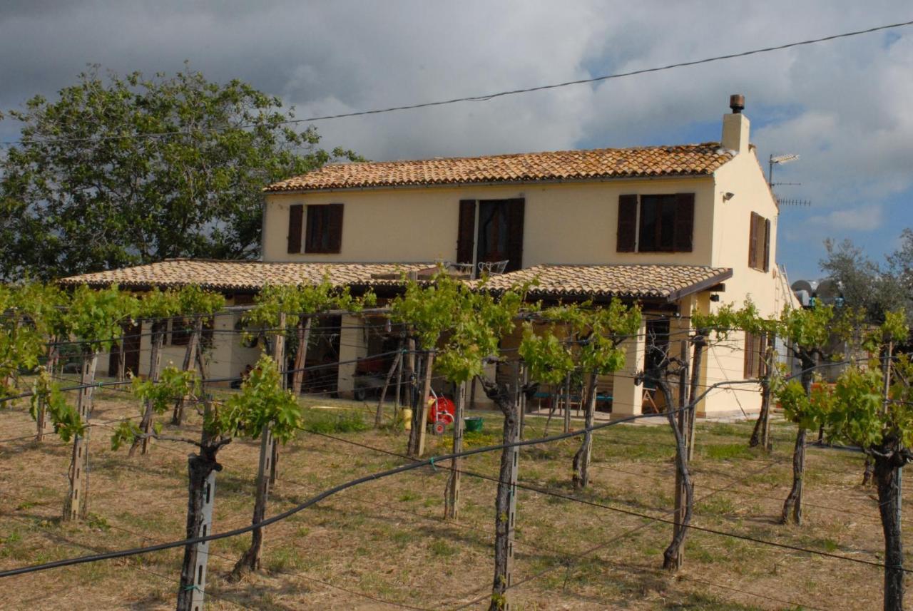 B&B Conca Del Pretore Loreto Aprutino Exteriér fotografie