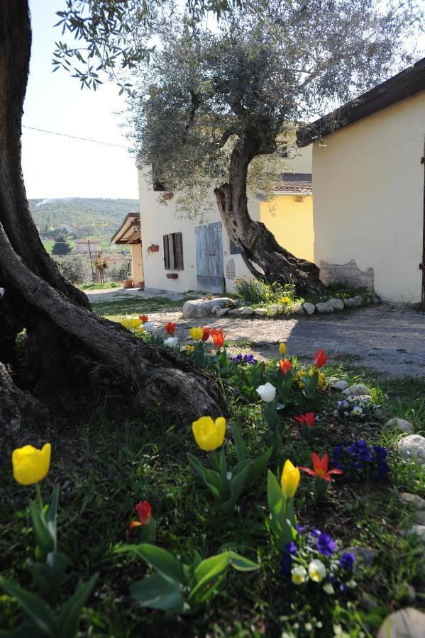 B&B Conca Del Pretore Loreto Aprutino Exteriér fotografie