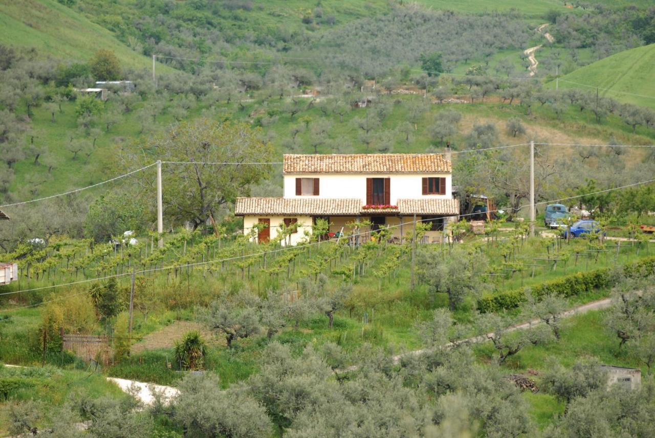 B&B Conca Del Pretore Loreto Aprutino Exteriér fotografie