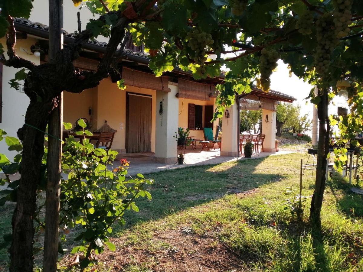 B&B Conca Del Pretore Loreto Aprutino Exteriér fotografie