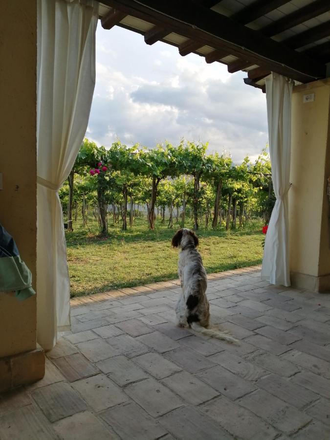 B&B Conca Del Pretore Loreto Aprutino Exteriér fotografie