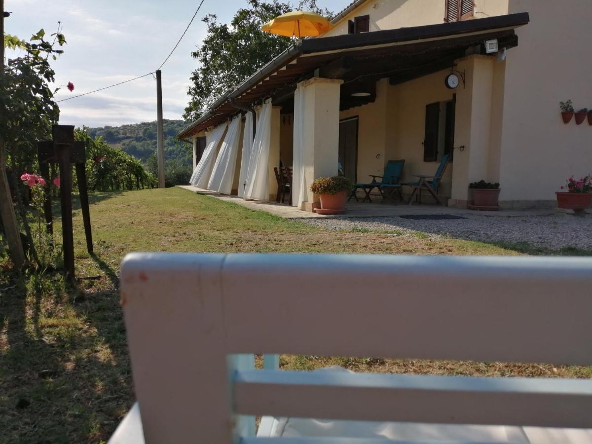 B&B Conca Del Pretore Loreto Aprutino Exteriér fotografie