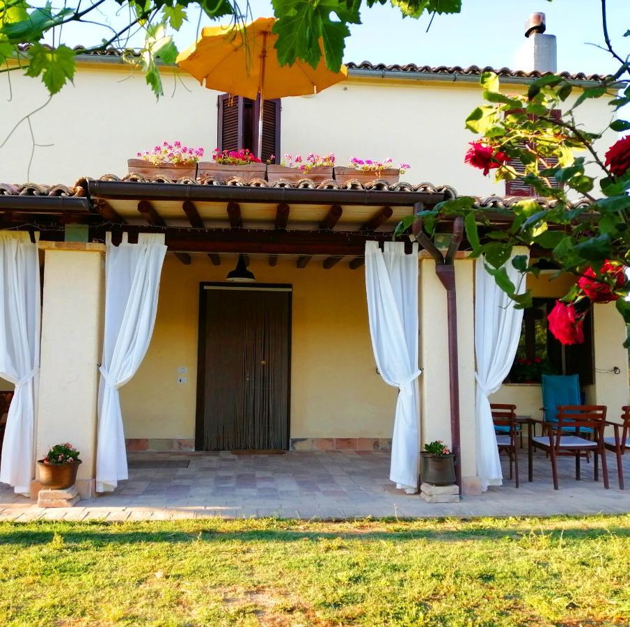 B&B Conca Del Pretore Loreto Aprutino Exteriér fotografie